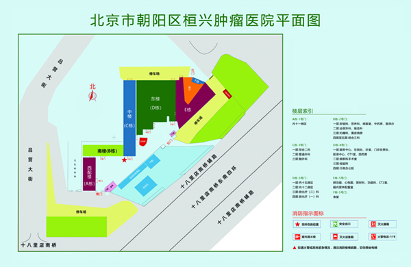 大操逼视频免费看北京市朝阳区桓兴肿瘤医院平面图